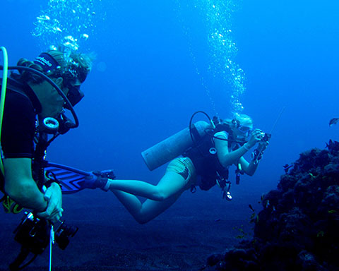 Scuba Diving